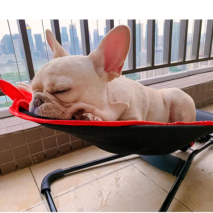 Benefits Of Portable Rocking Chair For French Bulldogs