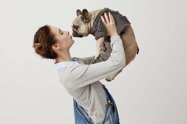 POST CORONAVIRUS: HOW TO RE-ADJUST LIFESTYLE WITH YOUR FRENCHIE
