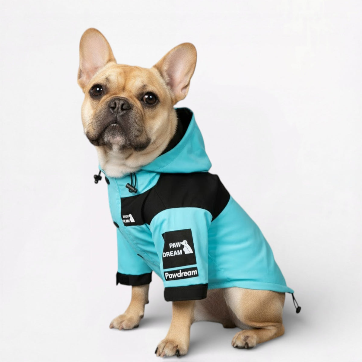 AquaPaw-French-Bulldog-Raincoat.jpg