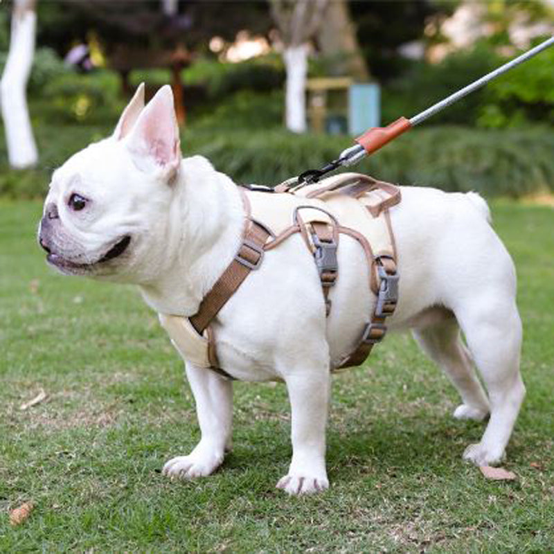 Premium No Pull Frenchie Harness: Reflective Chest Strap for Night Safety - Frenchie Bulldog Shop