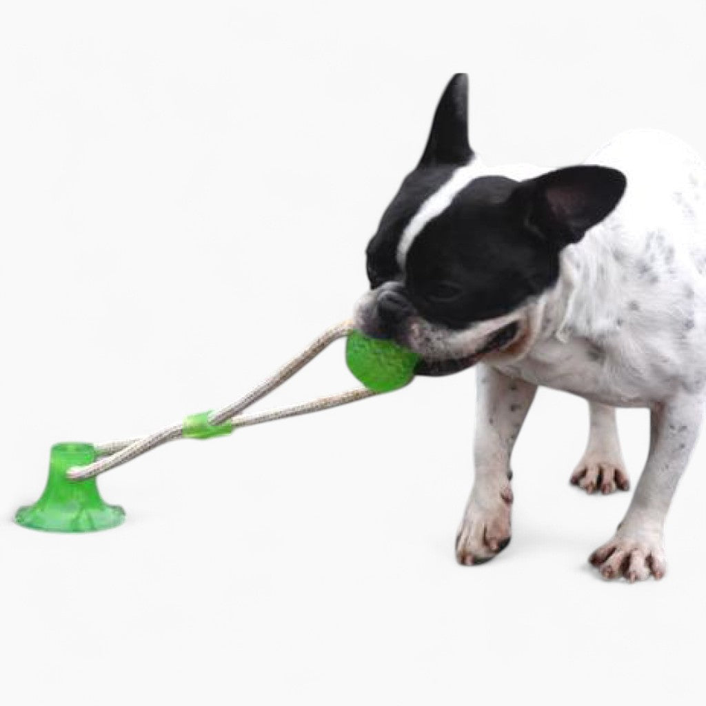 Dog Suction TugToy  Interactive Chew Toy for Dogs