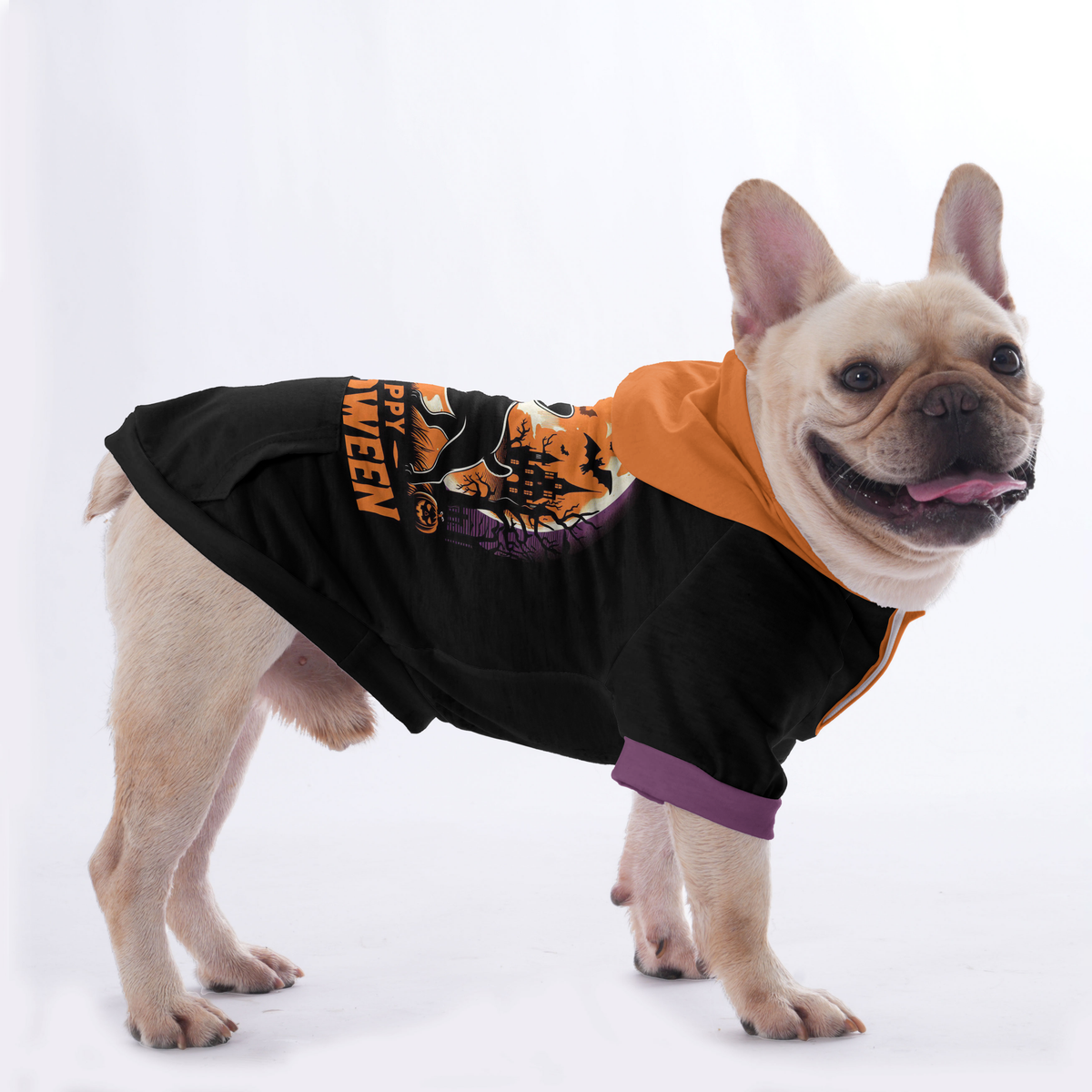 'CiCi' frenchies Halloween Hoodies