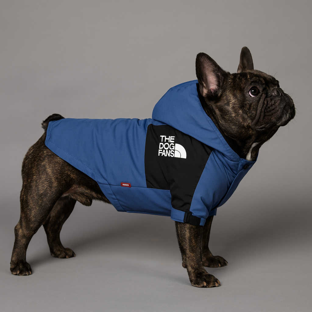 Denimutt-Frenchie-Denim-Blue-Raincoat.jpg