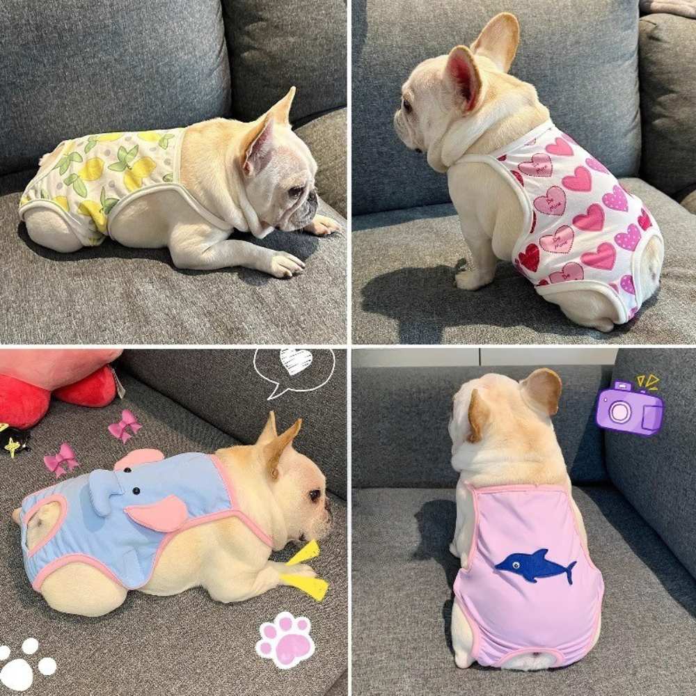 DoxiDry-Frenchie-Menstrual-Pants.jpg