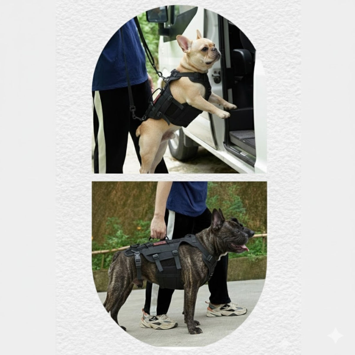 FrenLift™-Frenchie-Support-Harness.jpg