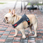 PawsMotion-Premium-French-Bulldog-Harness-Vest-with-Leash-Ultimate-Walking-Companion-www.frenchie.shop