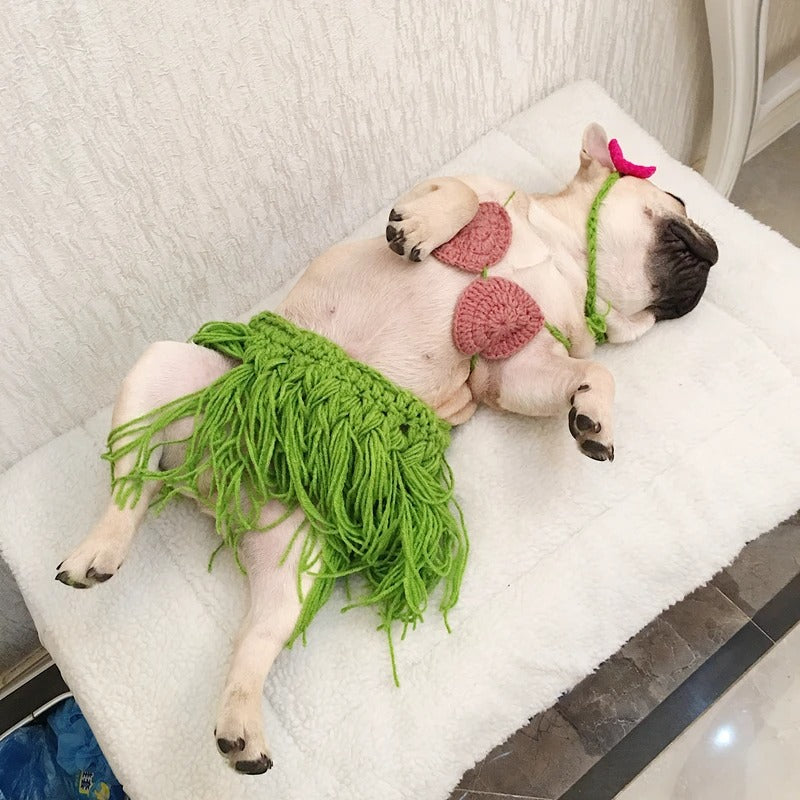 LeiPup-Frenchie-Hawaiian-Bikini-Costume.jpg