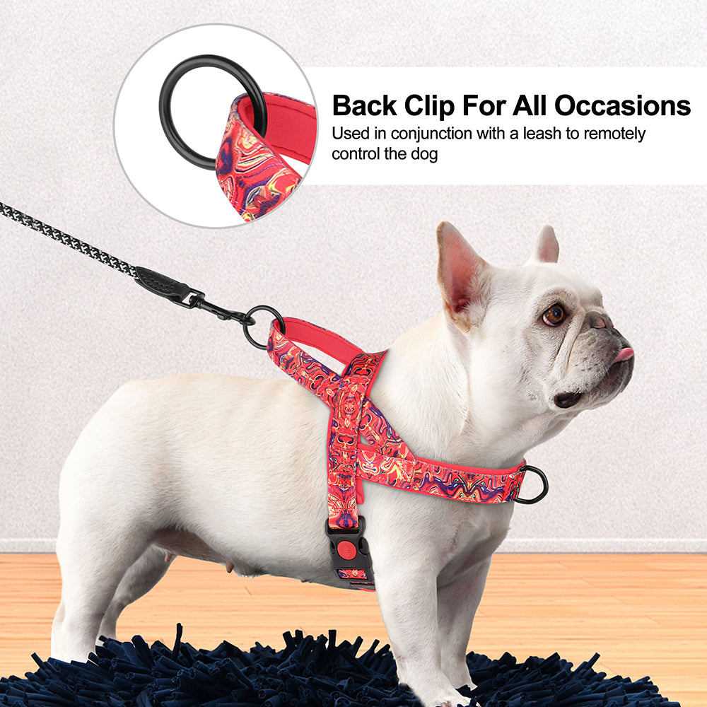 PrintPup No Pull Frenchie Harness with Unique Print Patterns - Frenchie Bulldog Shop