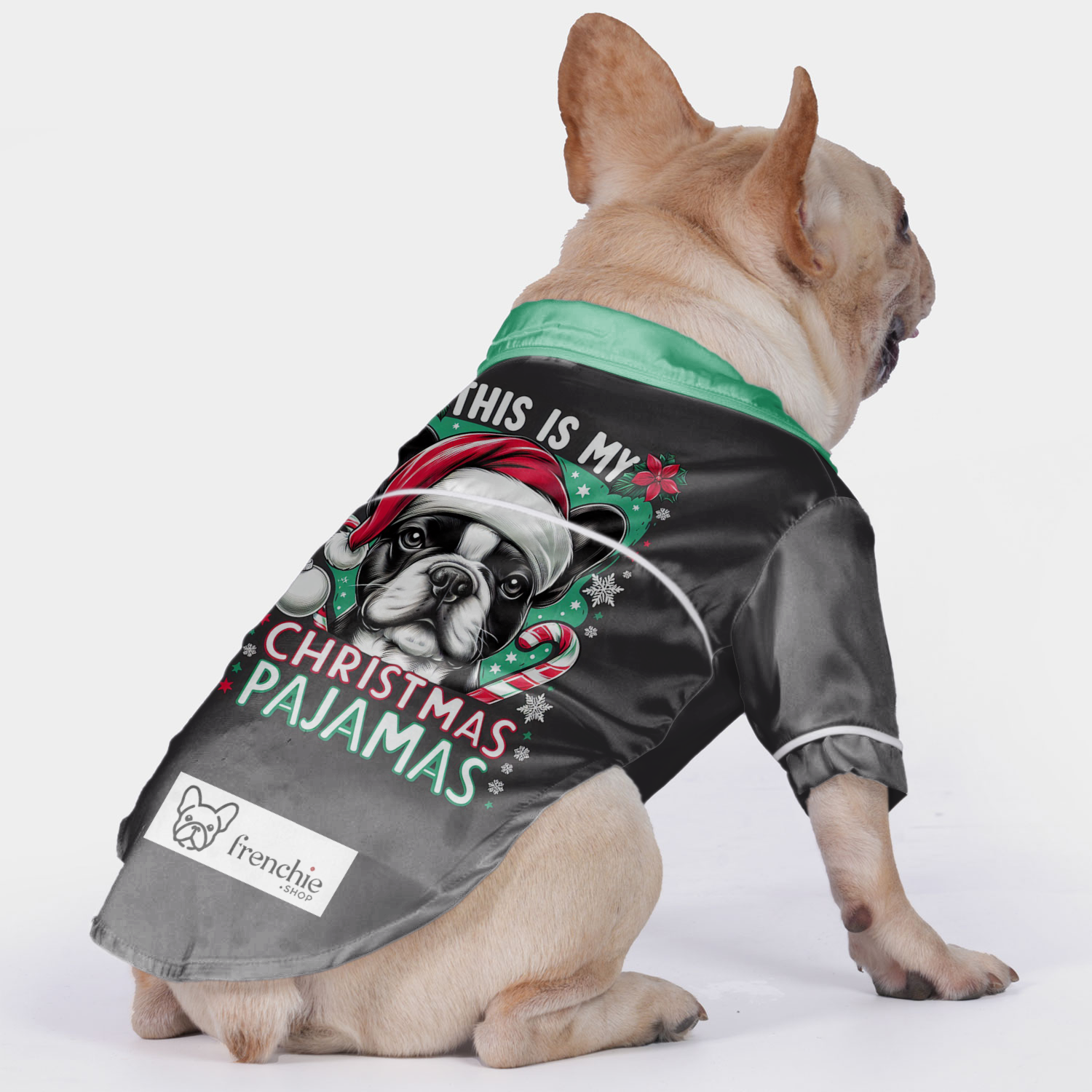 Abby Pajamas for French bulldog