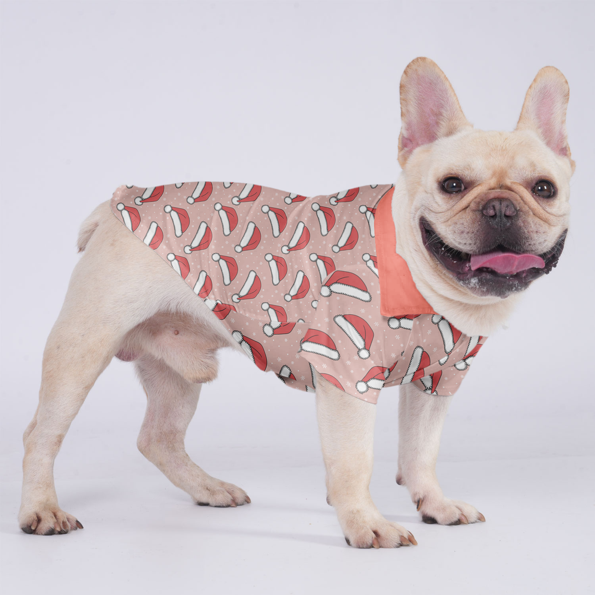 Ollie - Chemise hawaïenne pour Frenchies