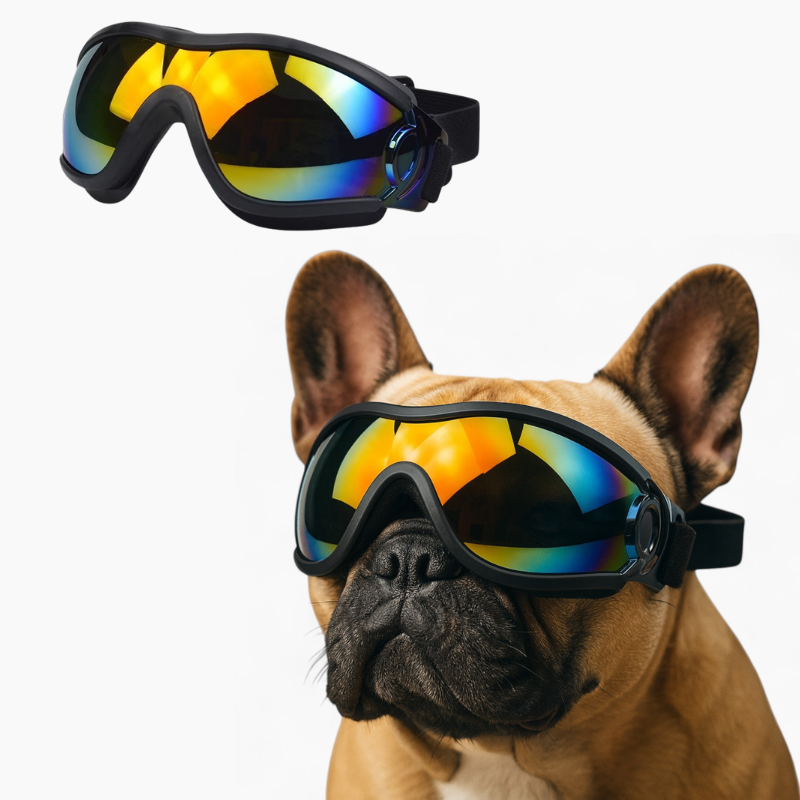 PawVue-French-Bulldog-Goggles.jpg