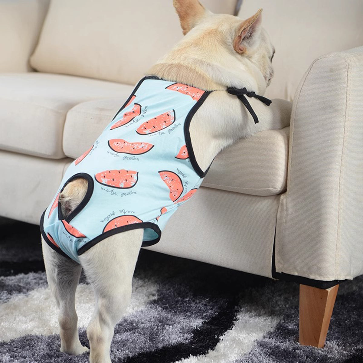 PupSafe-Frenchie-Female-Physiological-Pants.jpg