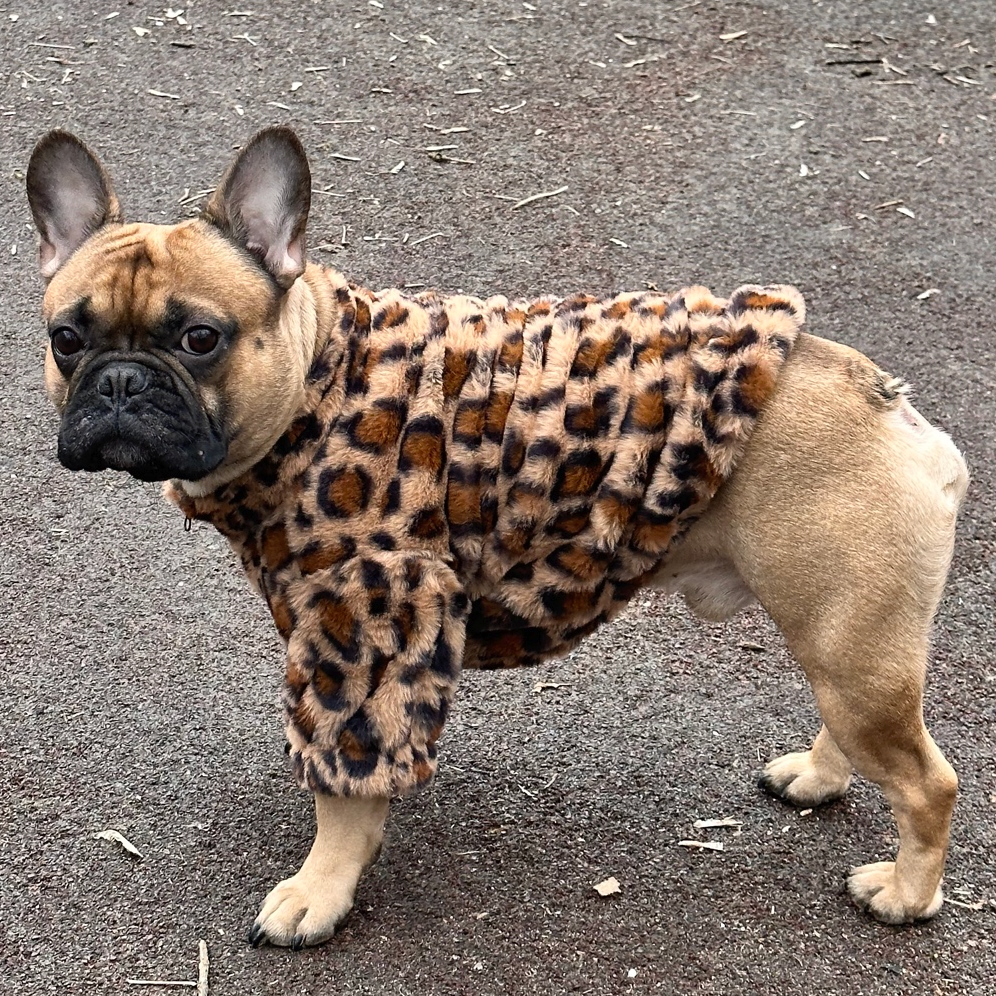 Pull d'hiver Dognest™ Frenchie (WL010)
