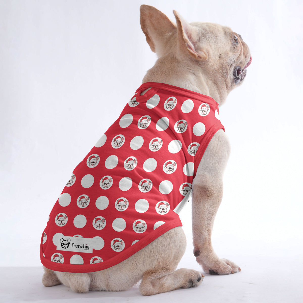 Papillon - Shirt for Frenchies - Frenchie Shop Original