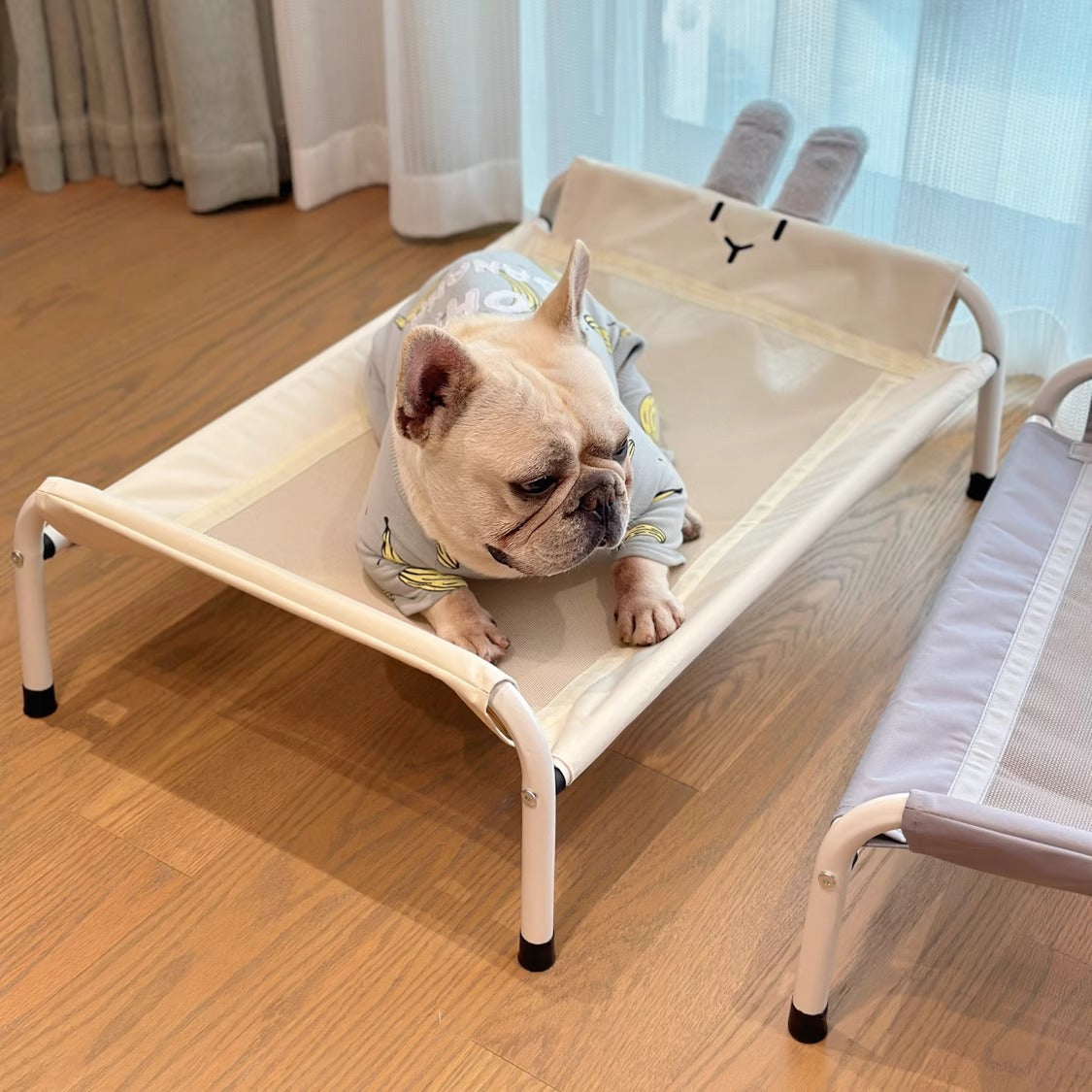VenTura-Frenchie-Elevated-Bed.jpg