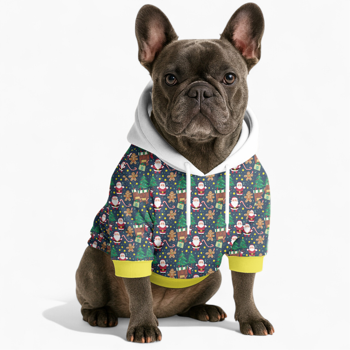 Chris- Frenchie hoodie