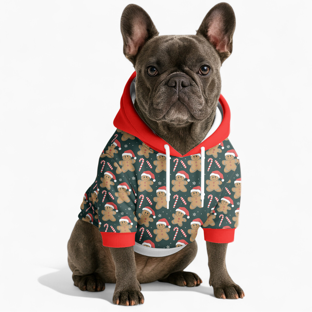 Chandler - Sudadera con capucha de Frenchie