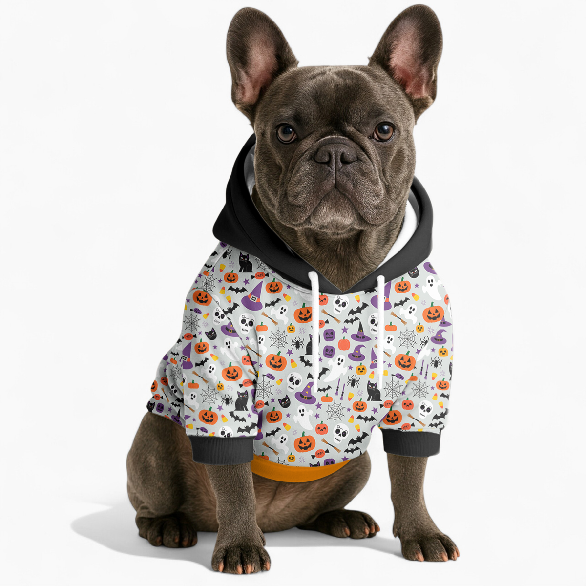 Bandit - Frenchie hoodie