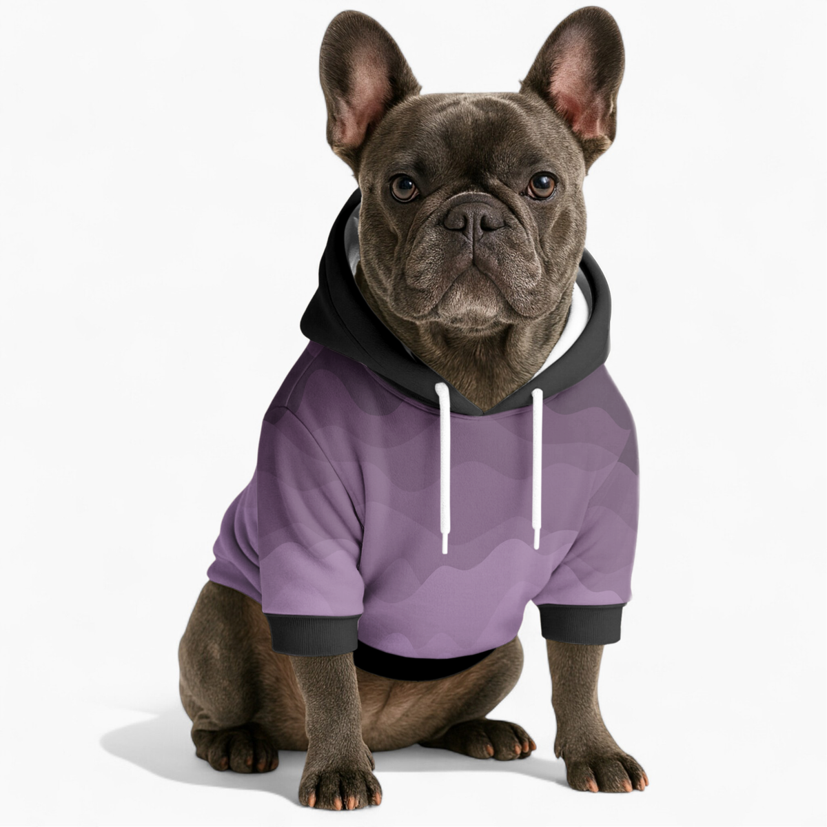 Goldie - Frenchie hoodie
