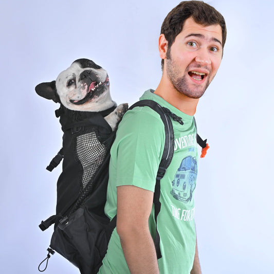 Frenchie Backpack Carrier For Dog