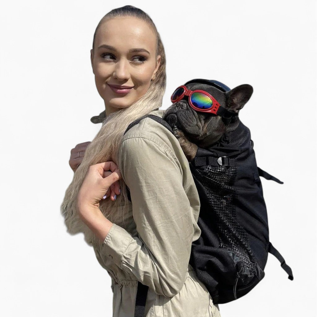 french bulldog jansport backpack FrenPort Portable Bag Airline-Approved Pet at school Silver French Bulldog Backpack -