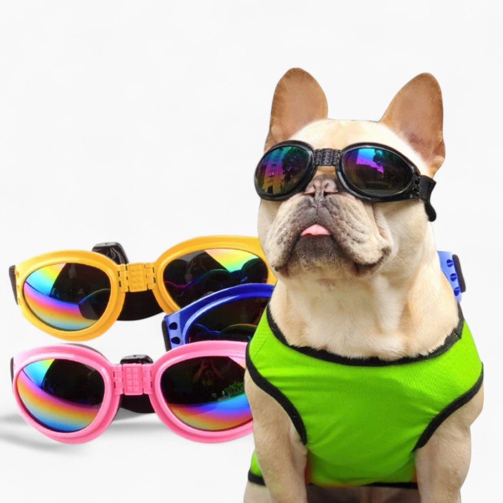 dog eye protection goggles Waterproof French Bulldog Glasses