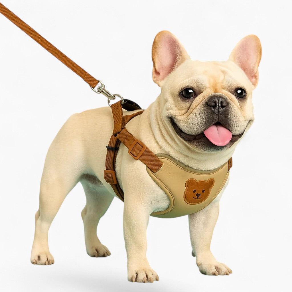 Barkit Soft Padded Frenchie Harness with Cartoon Bear Design