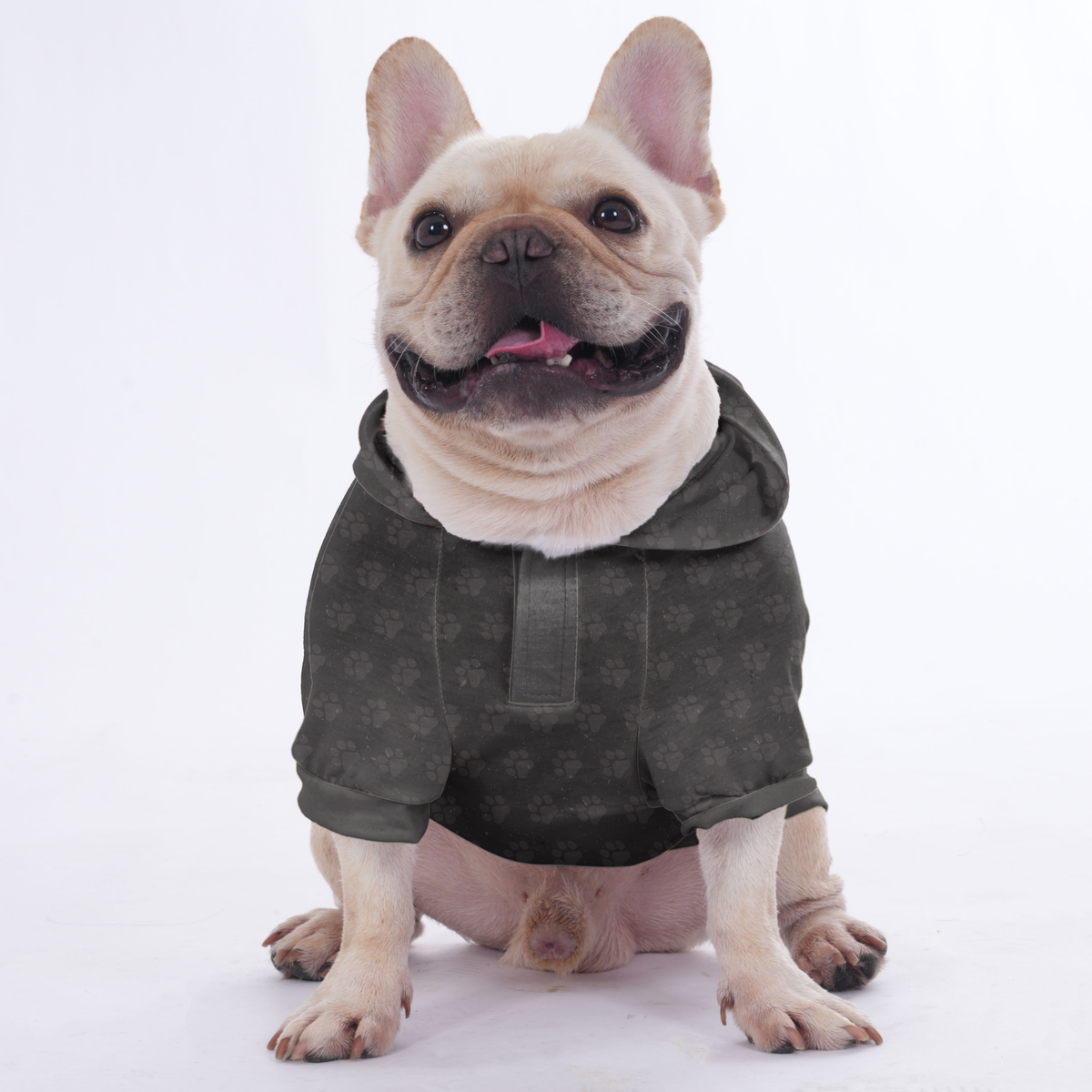 If you dont like French Bulldogs, I dont like YOU - Hoodies for French Bulldog | Frenchie Shop Original