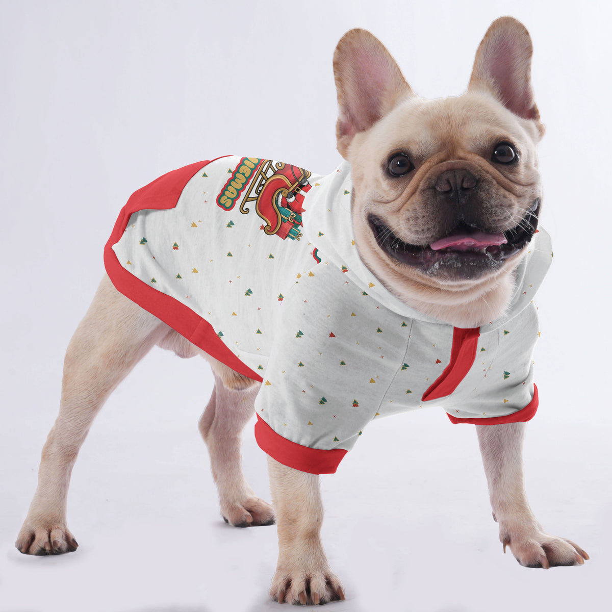 Sweat à capuche Soot pour bouledogue français | Boutique Frenchie Original