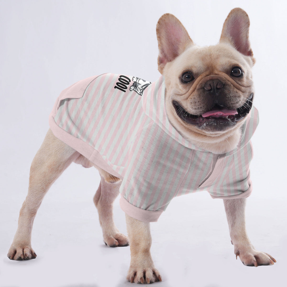 Waffle- Hoodies for French Bulldog | Frenchie Shop Original