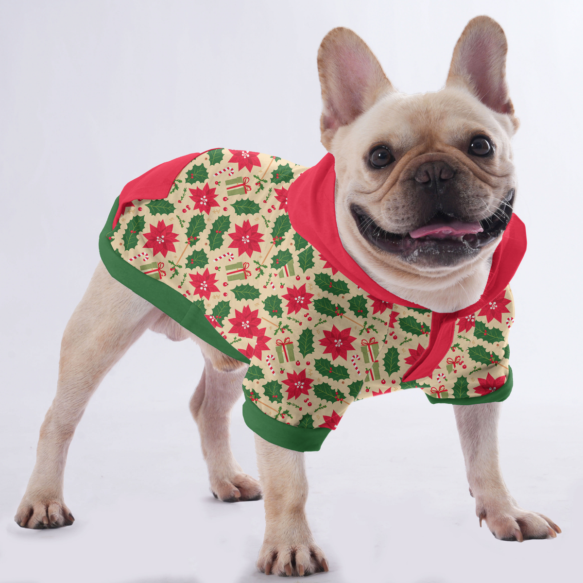 Suzzie - Sweat à capuche pour bouledogue français | Boutique Frenchie Original