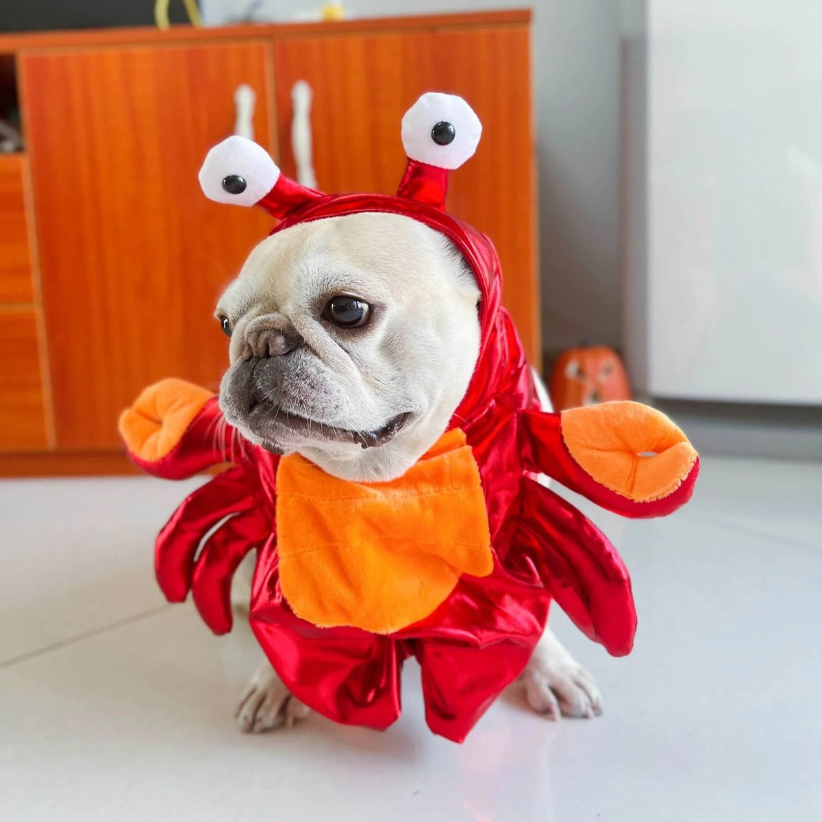 pet red crab Costume