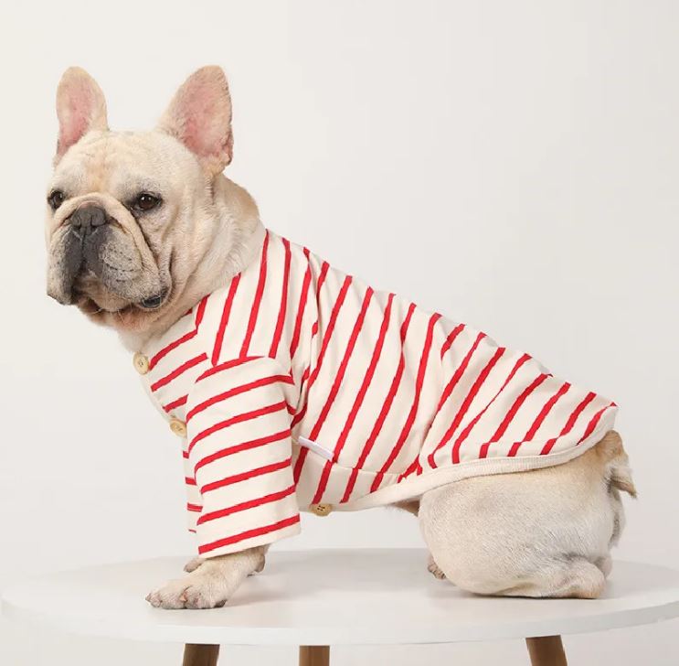 Roxy French Bulldog Winter Shirt (WJ05)