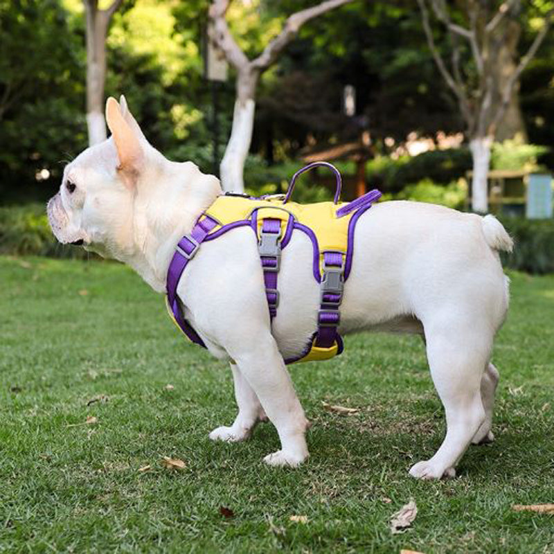 Premium No Pull Frenchie Harness: Reflective Chest Strap for Night Safety - Frenchie Bulldog Shop