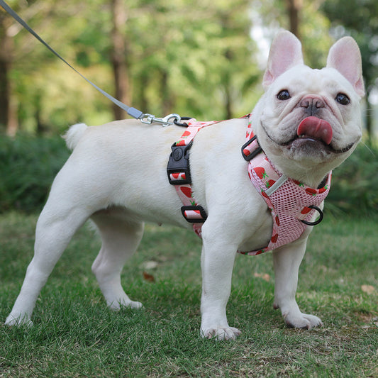 FruitFido Frenchie Breathable Harness - Frenchie Bulldog Shop