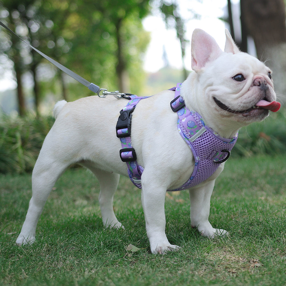 FruitFido Frenchie Breathable Harness - Frenchie Bulldog Shop
