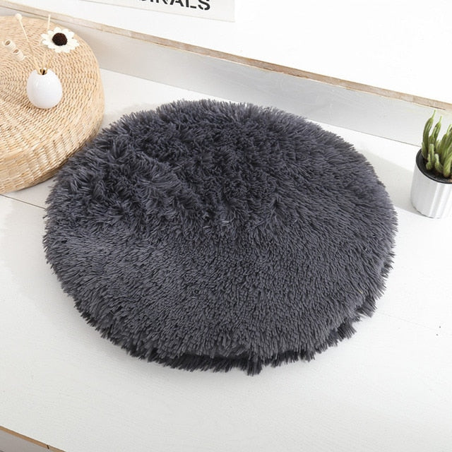 French Bulldog Beds