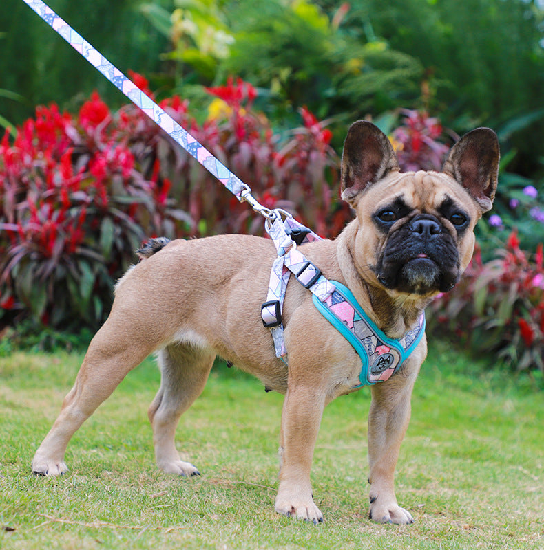 LucentLead Frenchie Adjustable Harness and Leash Set - French Bulldog Shop