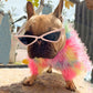 Frenchline™ - French Bulldog Rainbow Sweater - Frenchie Bulldog Shop
