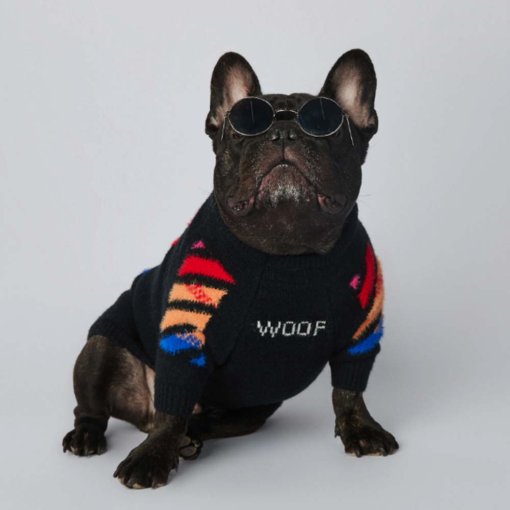 Frenchup™ - Frenchie Woof Winter Sweater V3 - Frenchie Bulldog Shop
