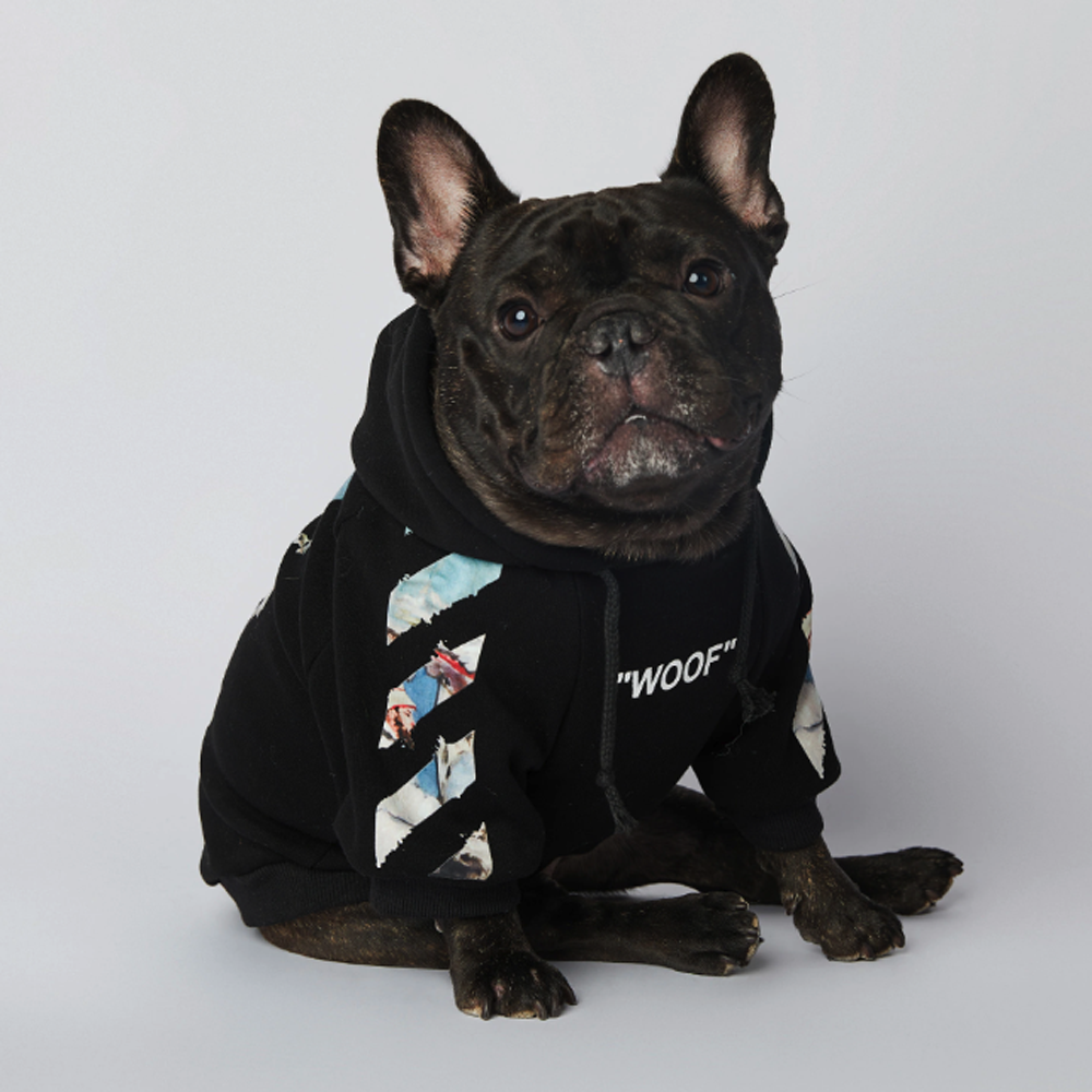 Frenchdot™ Woof Hoodie Pure Cotton Comfort for Frenchies