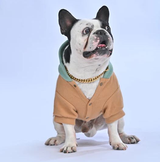Wintersy™ - French Bulldog Soft Hoodie (WL03) - Frenchie Bulldog Shop