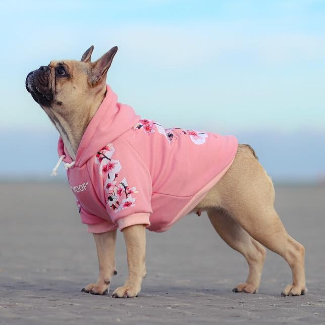 Woof Hoodie for French Bulldog