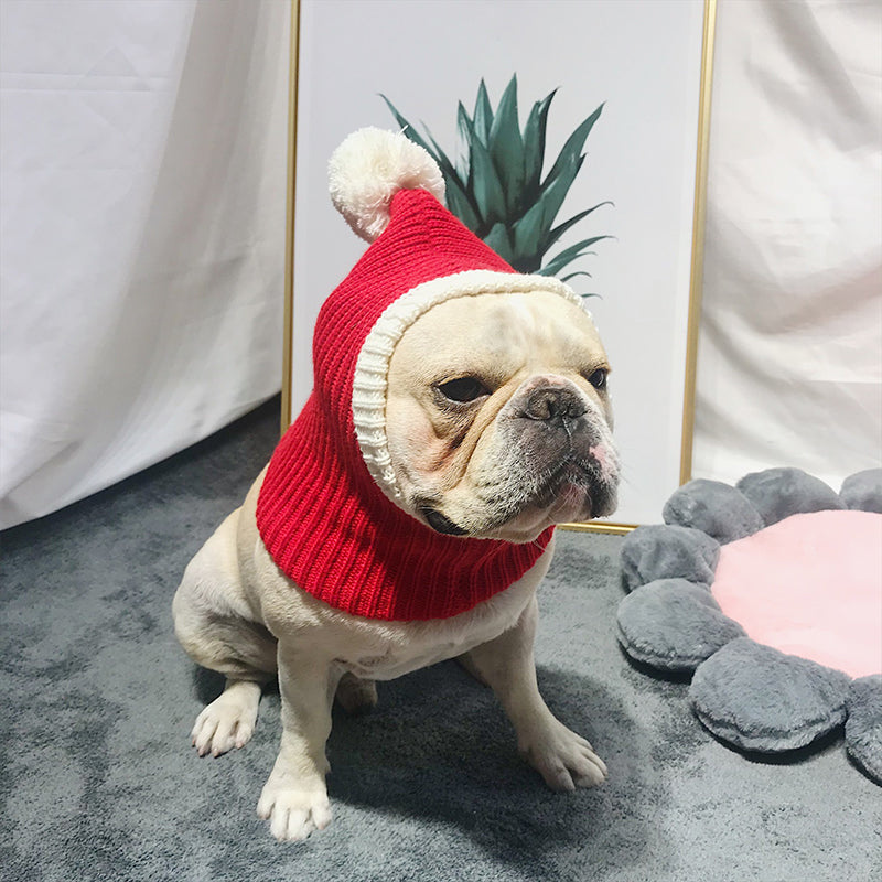 Wool Hat for French Bulldogs