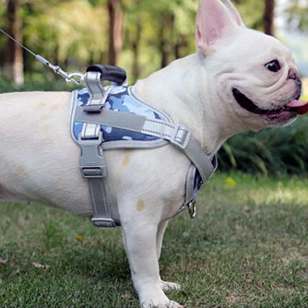 Frenchie Personalized Reflective Adjustable Harness - Frenchie Bulldog Shop