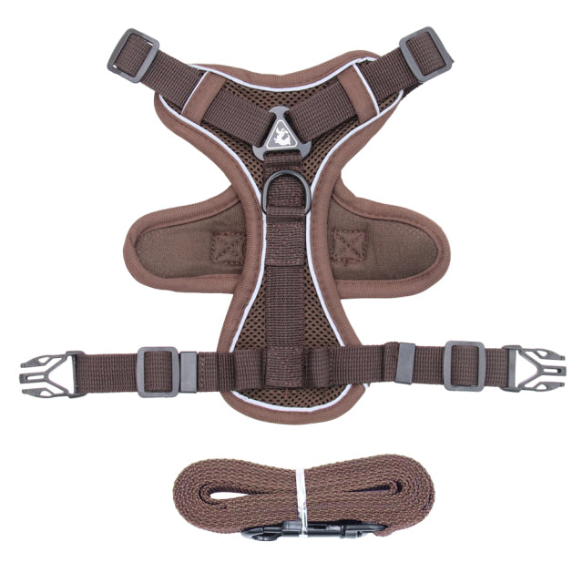 designer harness for french bulldog