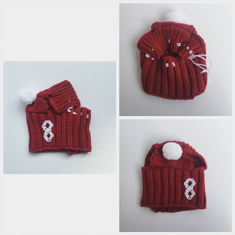 dog cap for winter