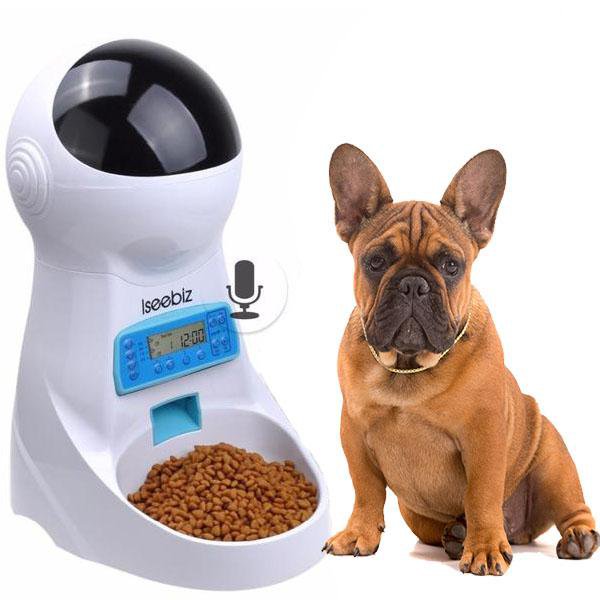 Smart Frenchie Food Feeder – frenchie Shop