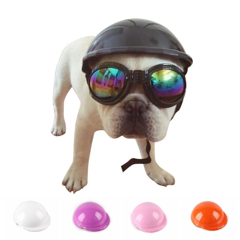 French Bulldog Helmet