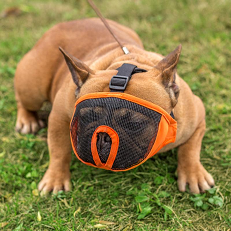 Breathable French Bulldog Muzzle – Secure Fit - Main Image